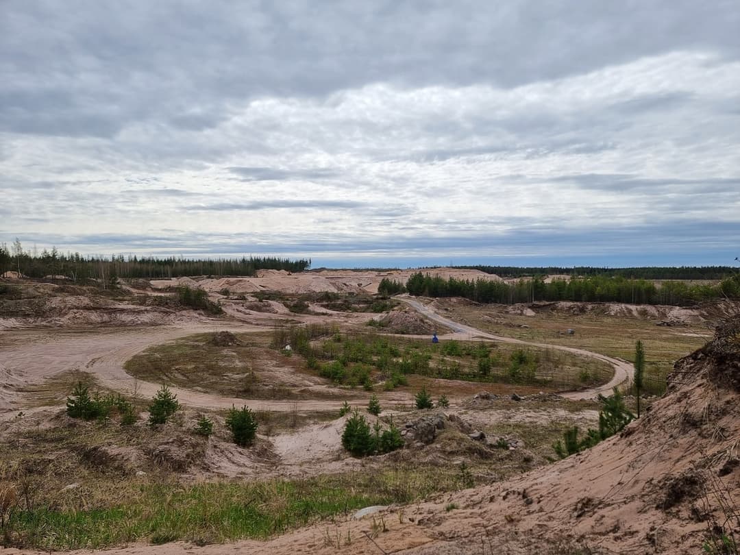 The investigations are planned on case-by-case basis taking into account the scope and the conditions of the site.